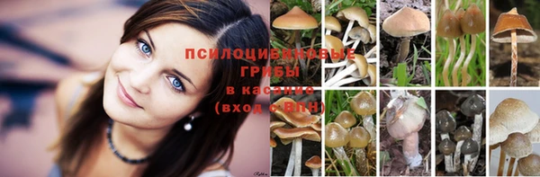 мефедрон Краснослободск