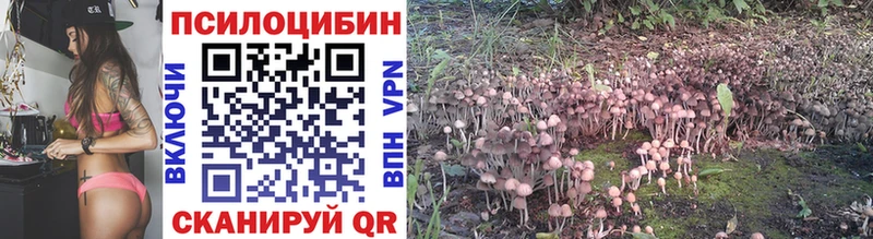 Псилоцибиновые грибы прущие грибы  Купить где  Барыш 