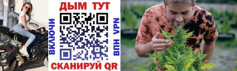 Конопля индика  Купить закладки  Барыш 